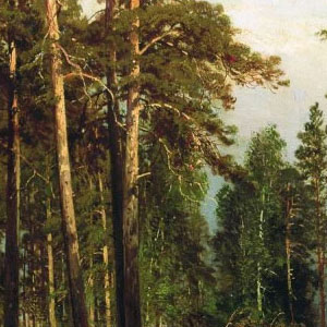 Шишкин Иван Иванович (Shishkin Ivan) Сосновый лес