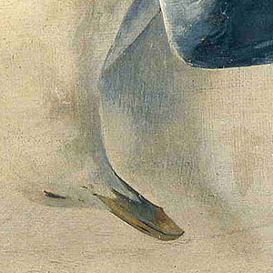  Эндрю Ньюэлл Уайет (Andrew Newell Wyeth) - Мертвая чайка