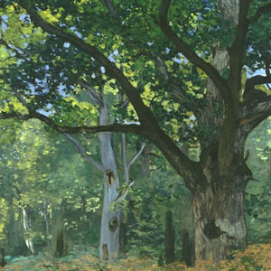 Оскар Клод Моне (Oscar-Claude Monet) - Бодмерский дуб. Лес Фонтеблю. 1965 г.