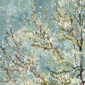 Винсент Ван Гог (Vincent van Gogh) Цветущие персики
