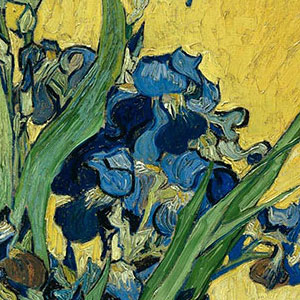 Винсент Ван Гог (Vincent van Gogh) Ирисы