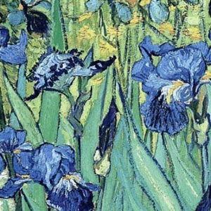 Винсент Ван Гог (Vincent van Gogh) Ирисы