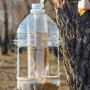 кормушки для птиц / bird feeders
