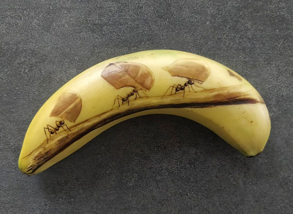 Анна Хойницка - банановые иллюстрации