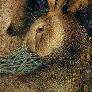 Геннадий Спирин (Gennady Spirin) - Плюшевый заяц