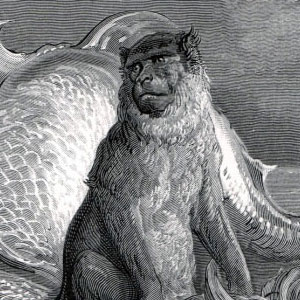 Поль Гюстав Доре (Paul Gustave Dore) - Обезьяна и дельфин
