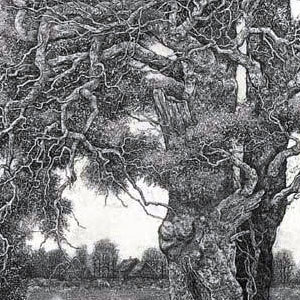  Нилов Владимир Николаевич (Nilov Vladimir) офорт - Шаманское дерево.